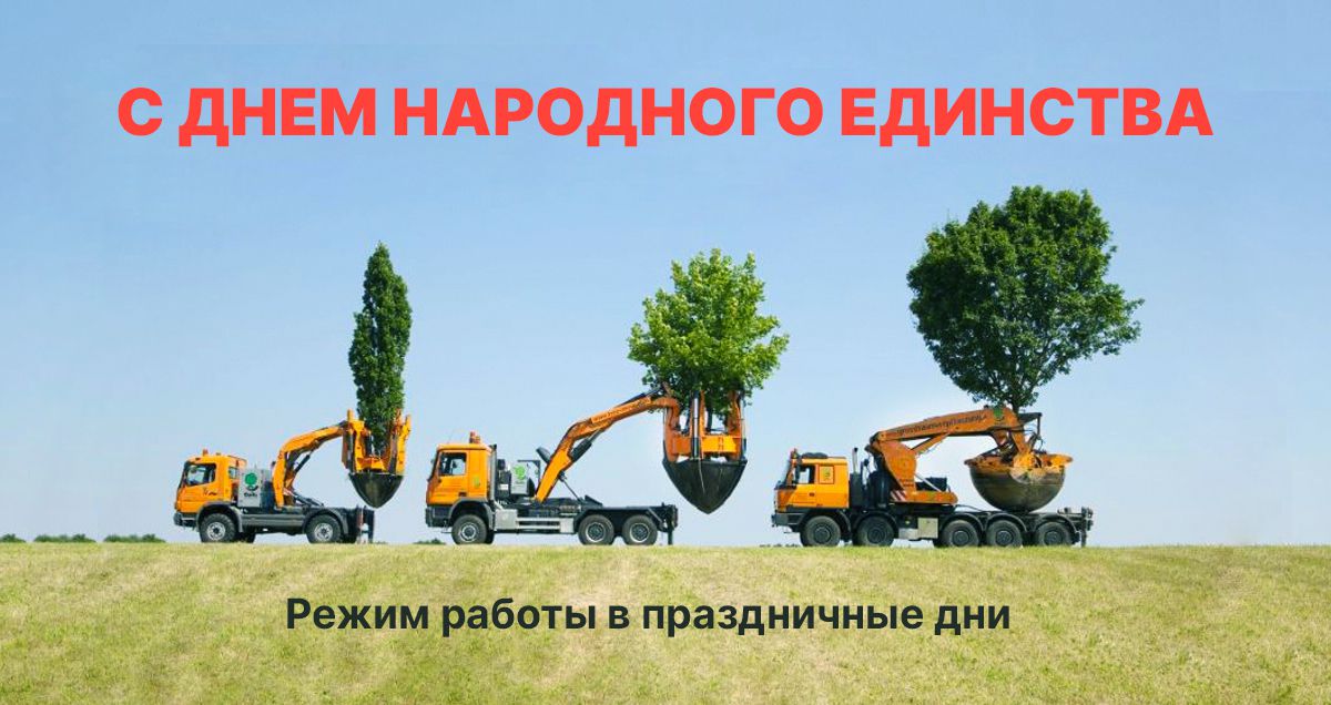 График работы и прием заказов в праздничные дни